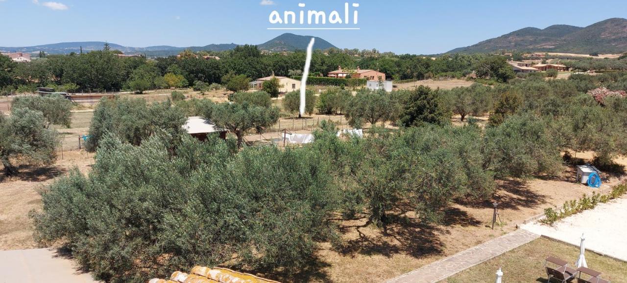 Villa Klinai チェルヴェーテリ エクステリア 写真