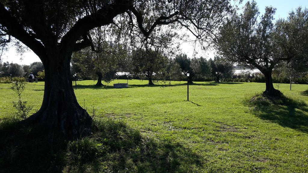 Villa Klinai チェルヴェーテリ エクステリア 写真